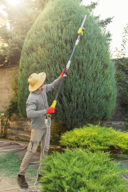 Best Lawn Watering Services  in Skyline View, PA